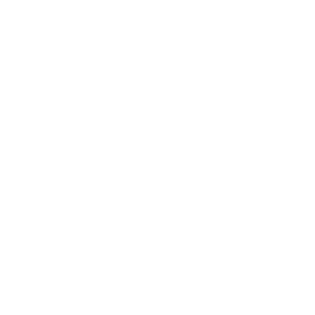 Development Info